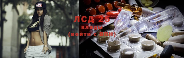 молекула духа Арсеньев