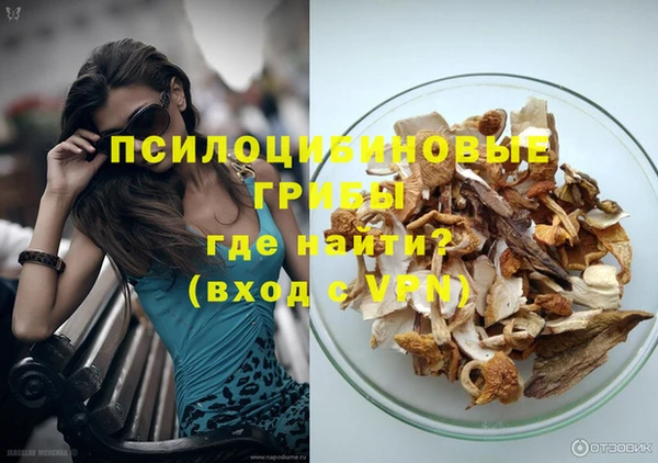 молекула духа Арсеньев