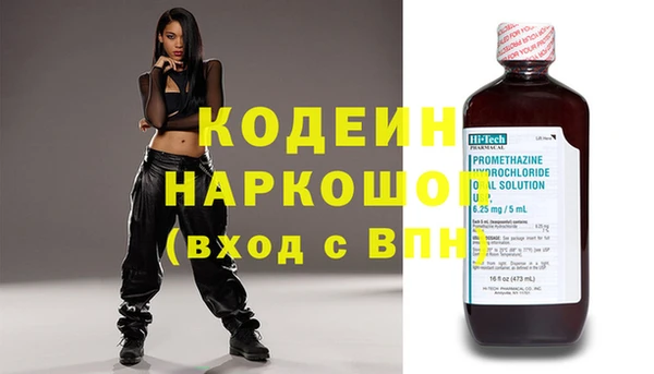 молекула духа Арсеньев