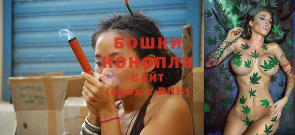 хмурый Пестово
